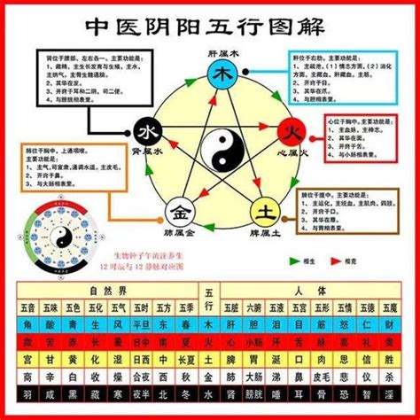 中醫五行屬性